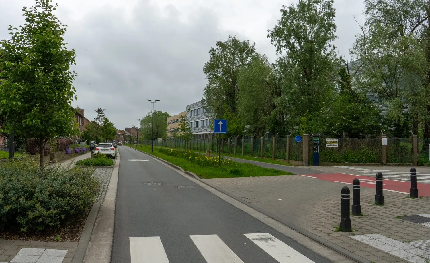 De Steenakker in 2024: bomen, plantvakken en een groene berm langs de rijweg.