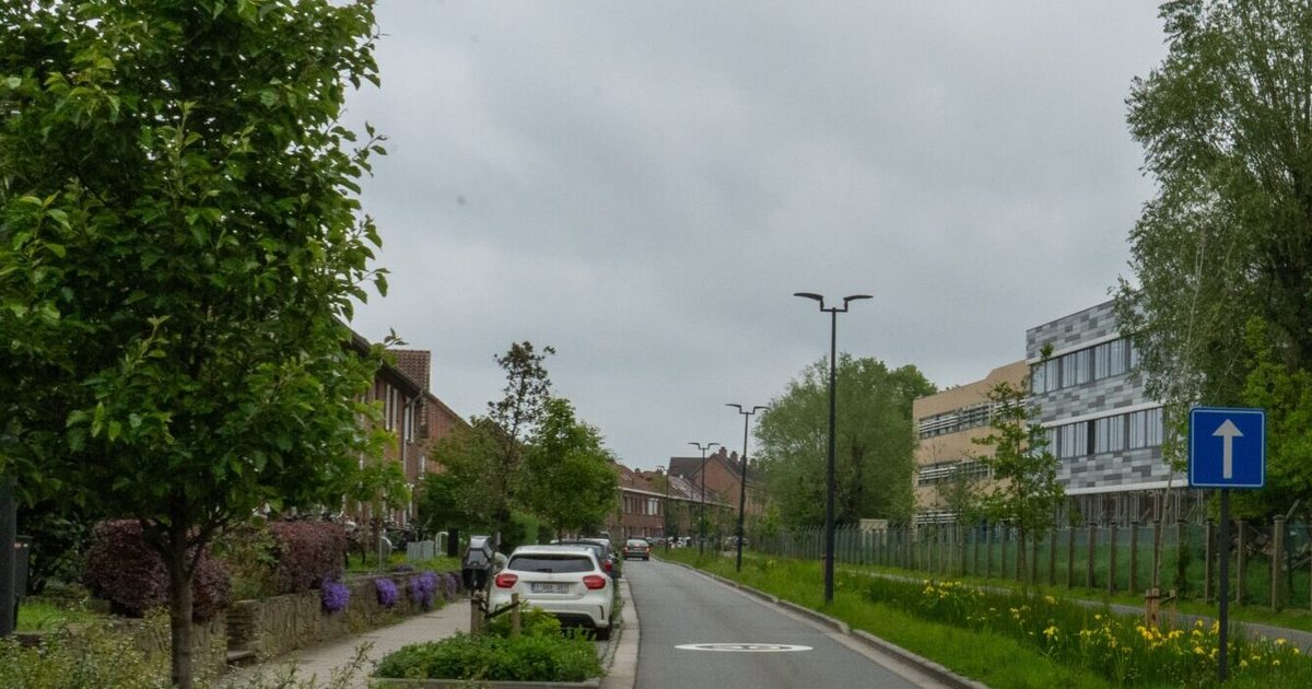 De vergroende Steenakker in Gent, met bomen en plantvakken langs de rijweg